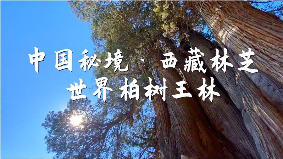 途观L倒车镜镜片怎么区别原厂正品？游戏画面